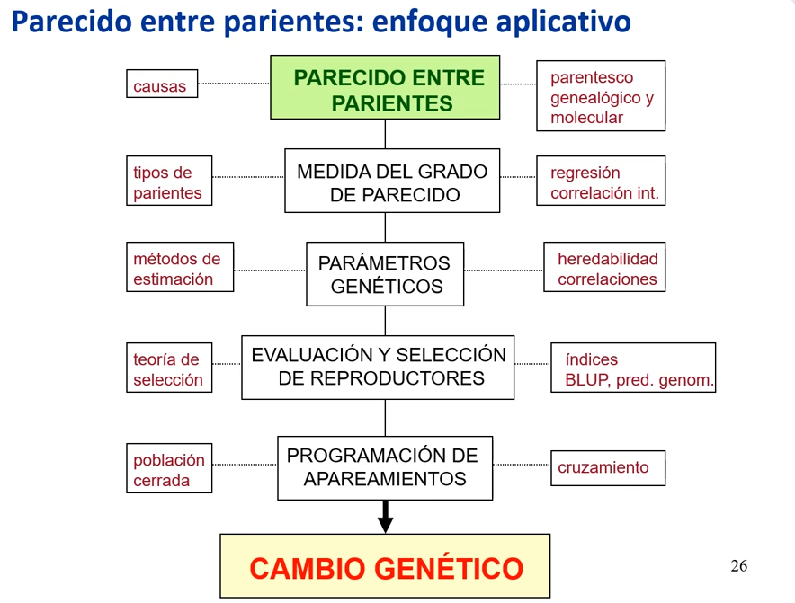 enfoque practico parecido entre parientes