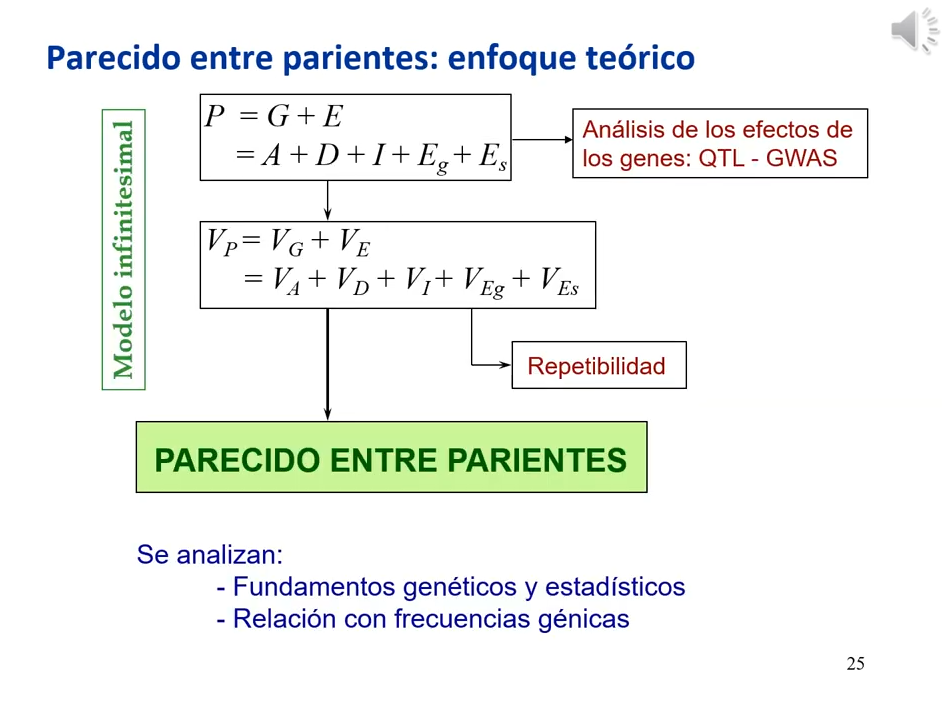 enfoque teorico parecido entre parientes