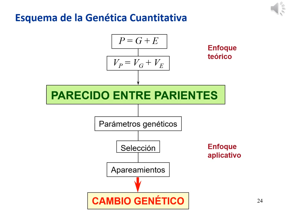 esquema genética cuantitativa