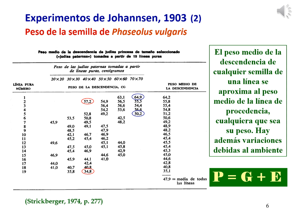 experimento Johannsen