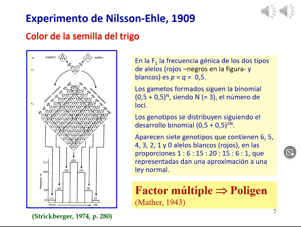 experimento Nilsson-Ehle