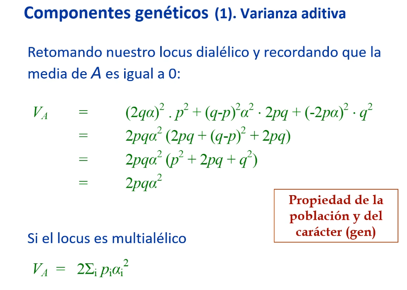 varianza aditiva