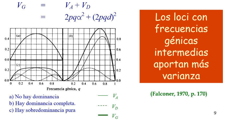 varianza total de un locus